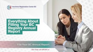 bc registry annual report